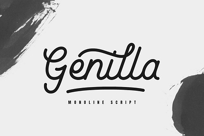Genilla Monoline Script creative markrt genilla monoline script modern font