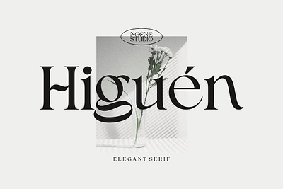 Higuen Elegant Serif beauty bold book chunky classy classy font cool elegant font fashion feminine funky header minimal minimal font modern modern font round soft stylish stylish font