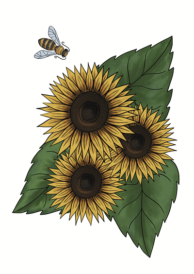 Sunflower Drawing bee floral flower illustration sunflower