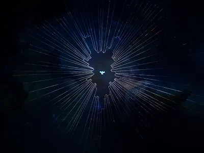 A Bird's Cosmic Expedition art bird branding design elegant galaxy graphic design illustration line logo modern modernlogo sky vector