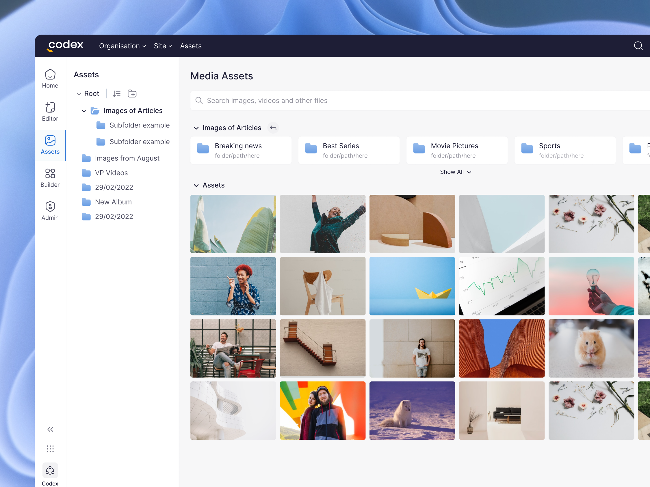 Example of Website And App Design
