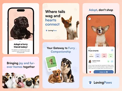 LovingPaws Brand Design Concept - Bento Grid💕👩🏻‍💻 adobe xd animation app design bento grid design bentogrid brand design branding design design system figma illustration logo pet adoption app ui uidesign uiux ux website design