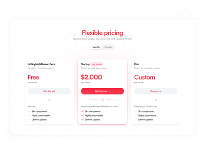 Pricing Page design flexible pricing identity minimal pricing page product design red ui