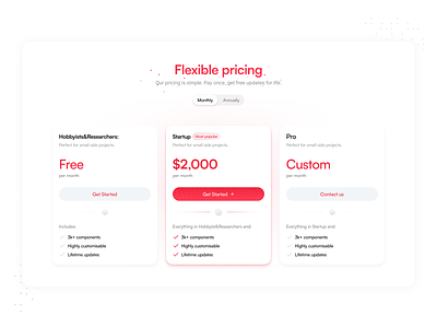 Pricing Page design flexible pricing identity minimal pricing page product design red ui