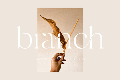 Branch - Modern Ligature Serif beautiful boutique branch modern ligature serif classic classy elegant elegant font fashion female feminime invitation ligature font ligatures logo font luxury magazine minimal modern wedding font wedding invitation