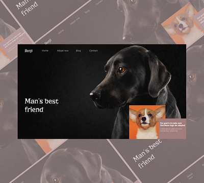 PupHaven: Where Tails Find Forever Homes ui