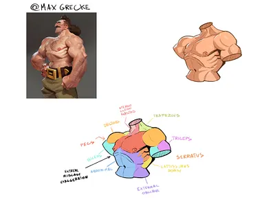TORSO STUDY 3 anatomy anatomy study art study cartoon cartoon illustration cartooning character design design illustration max grecke procreate study stylization stylized torso