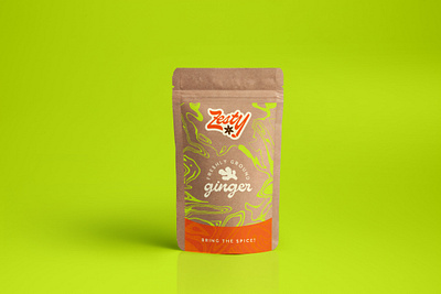 Zesty packaging brand design branding colorful graphic design package design packaging spices vector