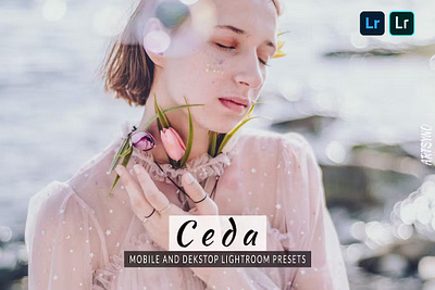 Ceda Lightroom Presets Desktop and Mobile lightroom lightroom presets presets presets store