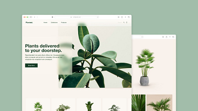 Plant eCommerce web design 🌱 graphic design ui web design website