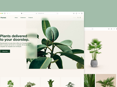 Plant eCommerce web design 🌱 graphic design ui web design website