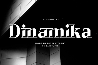 Dinamika - Modern Display Typeface apparel branding display displayfont fashion font fonts lettering modern serif seriffonts typeface underline upperline
