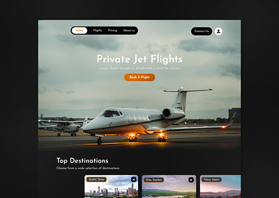 Private Jet Web Design ui
