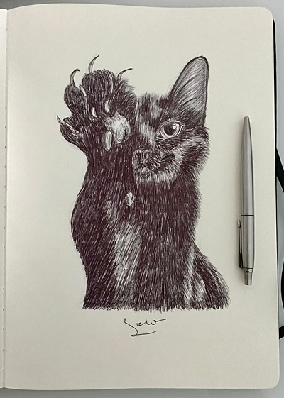 Ballpen Cat 🐈‍⬛ ballpen ballpenart ballpendrawing ballpensketch cat cats design drawing illustration sketch