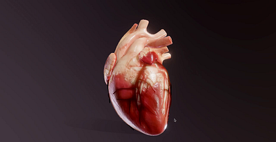 Human Heart Pumping 3D Model with Animation alembic