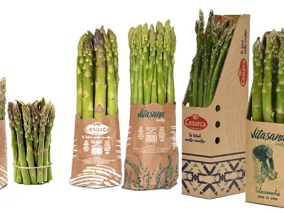 Cesurca packaging branding design graphic design label packaging