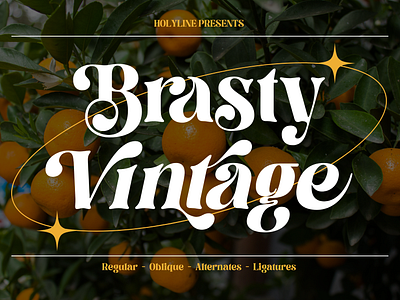 Brasty Vintage - Retro Serif Typeface bold bold font crafting design display free font illustration inspirations italic lettering logotype retro serif typeface vintage