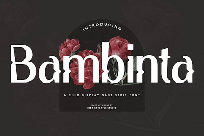 Bambinta – A Chic Display Sans Serif Font bambinta font