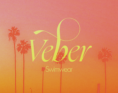 Veber Swimwear | Logo, Brand Identity Design animation apparel beauty brand branding clothing fashion graphic design icons logo underwear visual identity