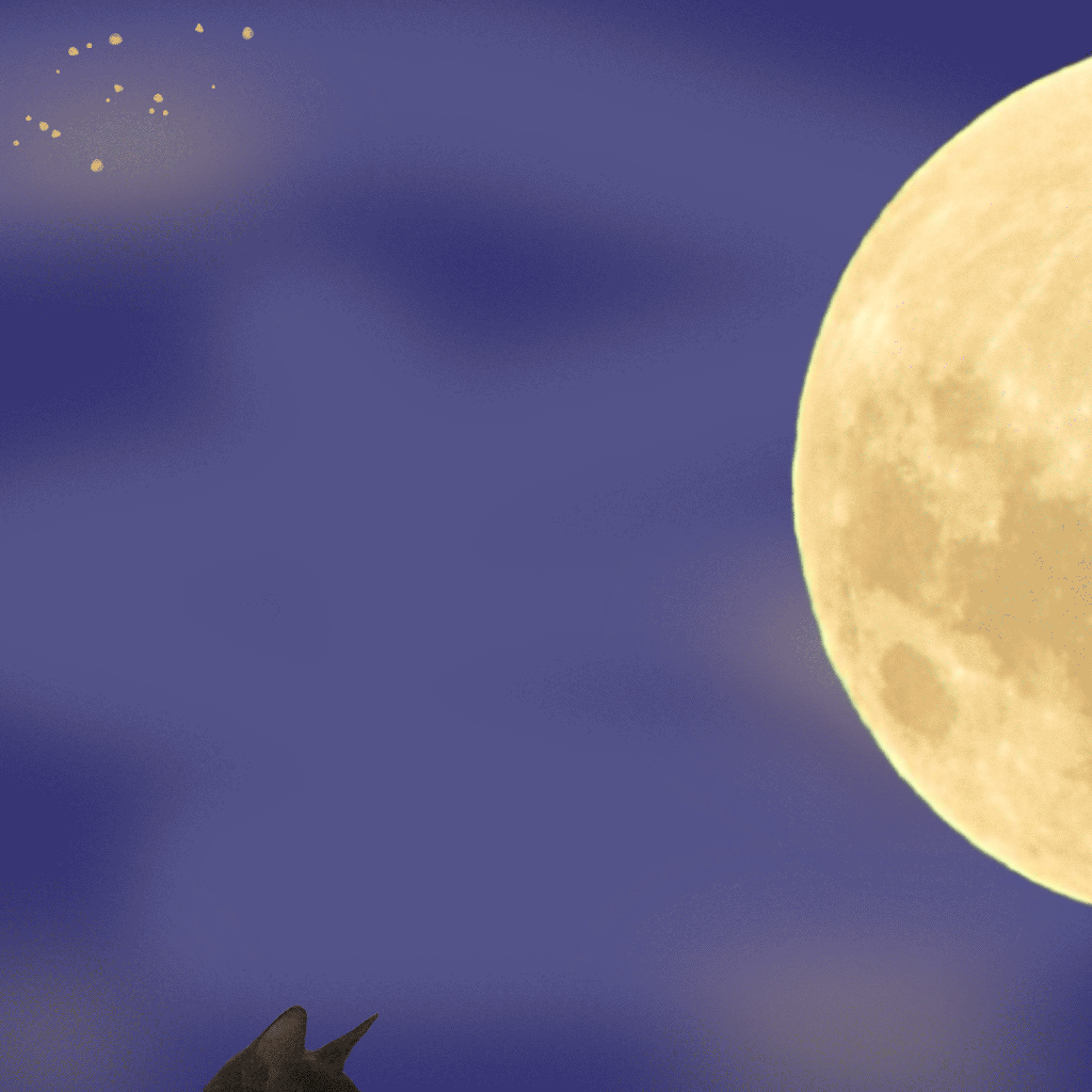 Кошка и луна animation design graphic design illustration