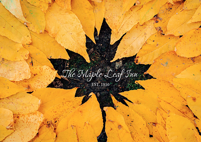 The Maple Leaf Inn Website branding landing page ui ux website design