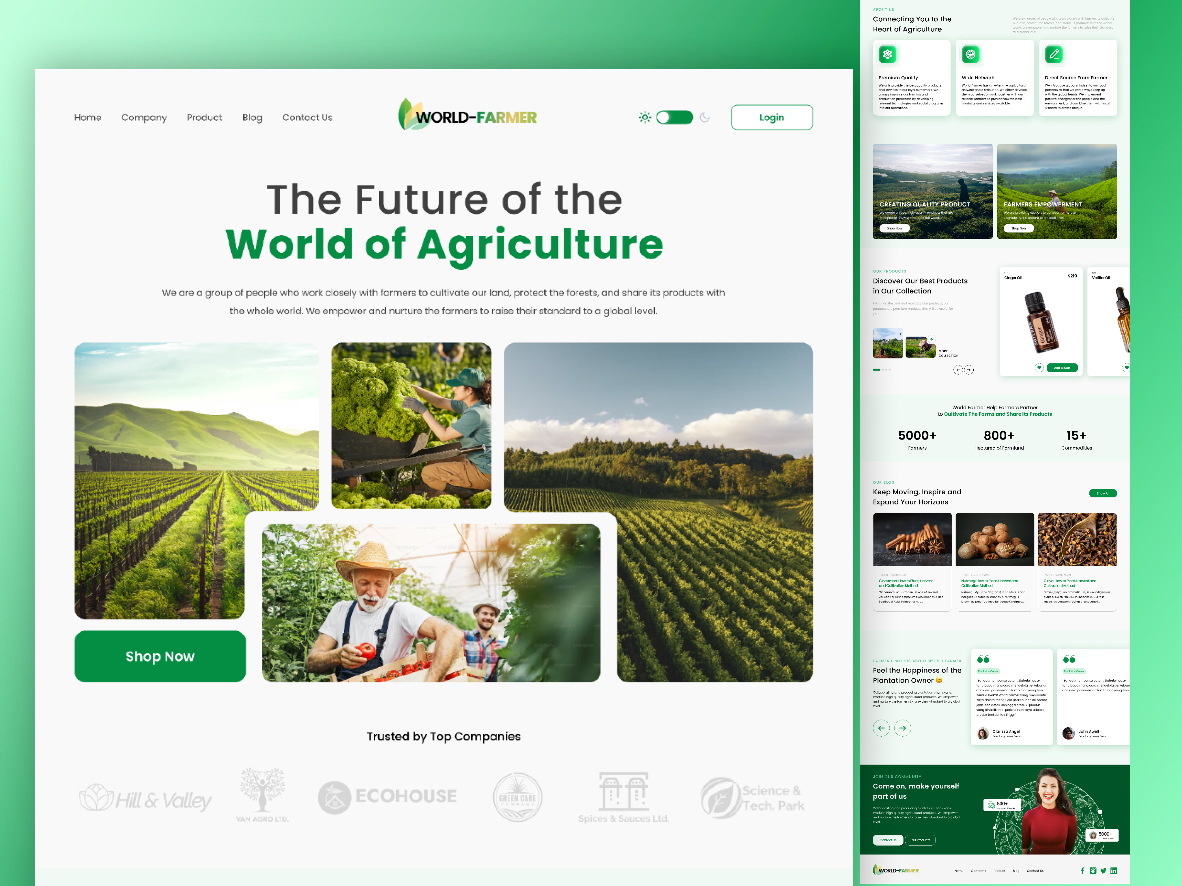 World Farmer - Agriculture Farm Web Design agricultural agriculture farm farmer farming natural nature plantation product design technology ui uiux ux web design website website design world