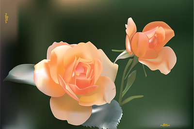 Illustration " Roses " in Gradient Mesh style adobeillustrator flowerillustration gradient gradientmesh illustrator roses vector vectorart vectorillustration