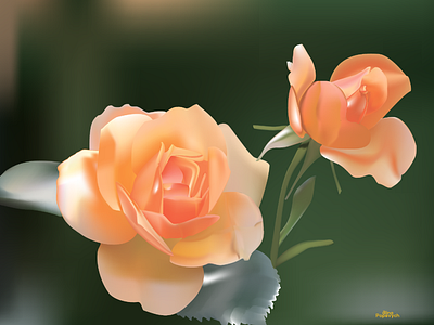 Illustration " Roses " in Gradient Mesh style adobeillustrator flowerillustration gradient gradientmesh illustrator roses vector vectorart vectorillustration