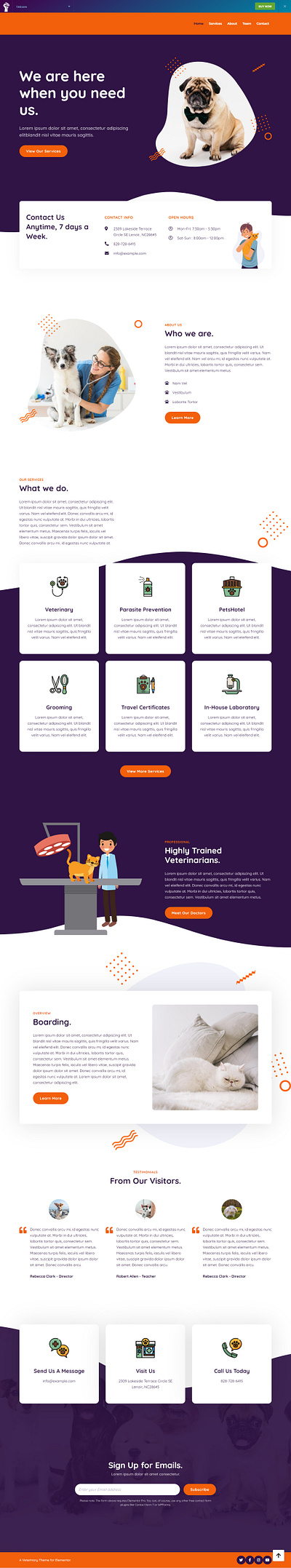 Animal Clinics Landing Page elementor elementor pro web design web development wordpress