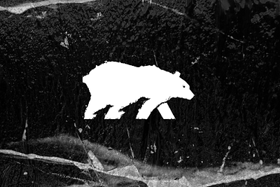 Logo for wildlife photographer animal animal logo anthracite bear logo branding free graphic design ice logo photographer white bear