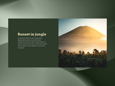 Travel Agency - Hero Section airbnb airbnb website hero section landing page web design
