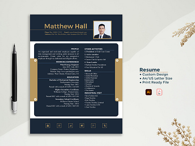 Resume Design brand branding cv cv template design illustrator job professional professional cv resume resume design