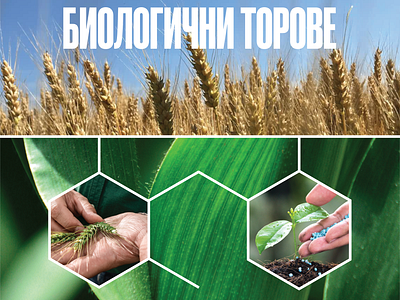 KVS Agro + Proserpina Catalogue page agriculture brand identity branding catalogue graphic design