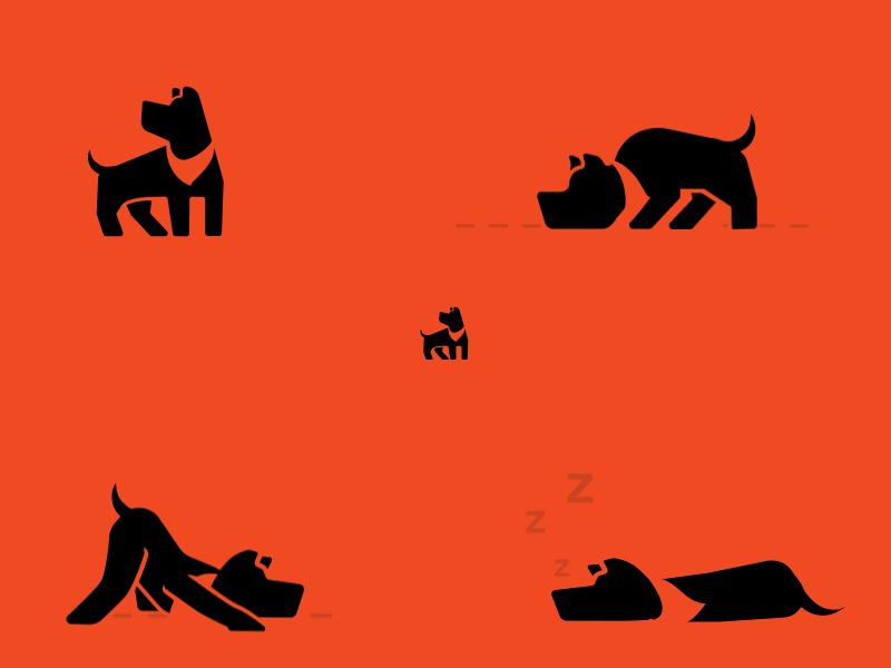 🟧 Loader & Animations for GigHound animation brand dog dogs loader logo logo animation sniffing splash