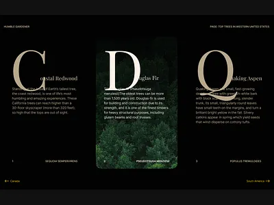 1.11.24 Navigation navigation typography ui web