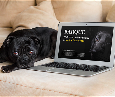 BARQUE branding dog graphic design illustrator logo photoshop