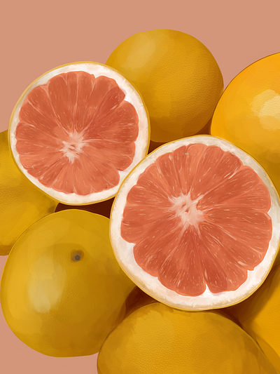 Grapefruit digital art fruit illustration painting