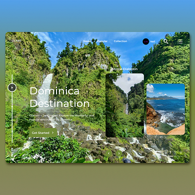 Dominica Web Design 3d animation app appdesign branding design graphic design illustration logo motion graphics ui uidesign ux uxdesign