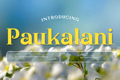 Paukalani – A classy Rounded Serif Typeface paukalani font