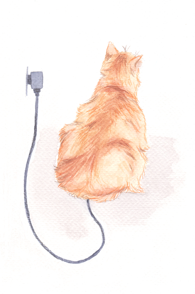 Cats acrilic cat illustration dry pastel illustration