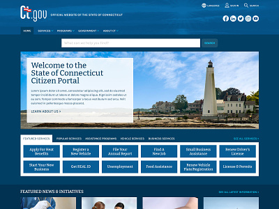CT.Gov - State of Connecticut Website interactiondesign