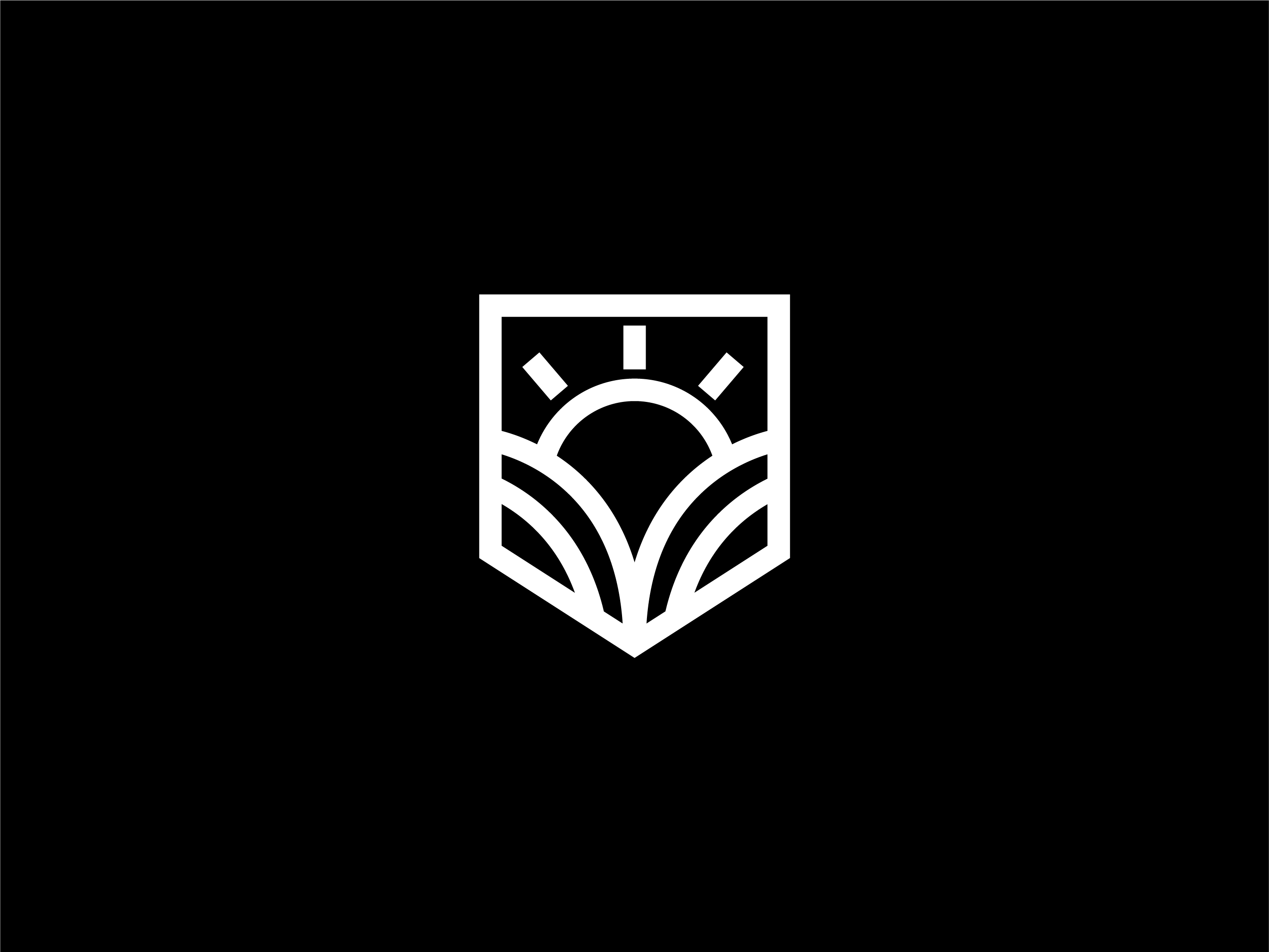 Sun - Logo Design Concept black brand brand design brand identity branding bright design graphic design growth illustration line logo logo concept logo design minimalist modern nature sun vector white