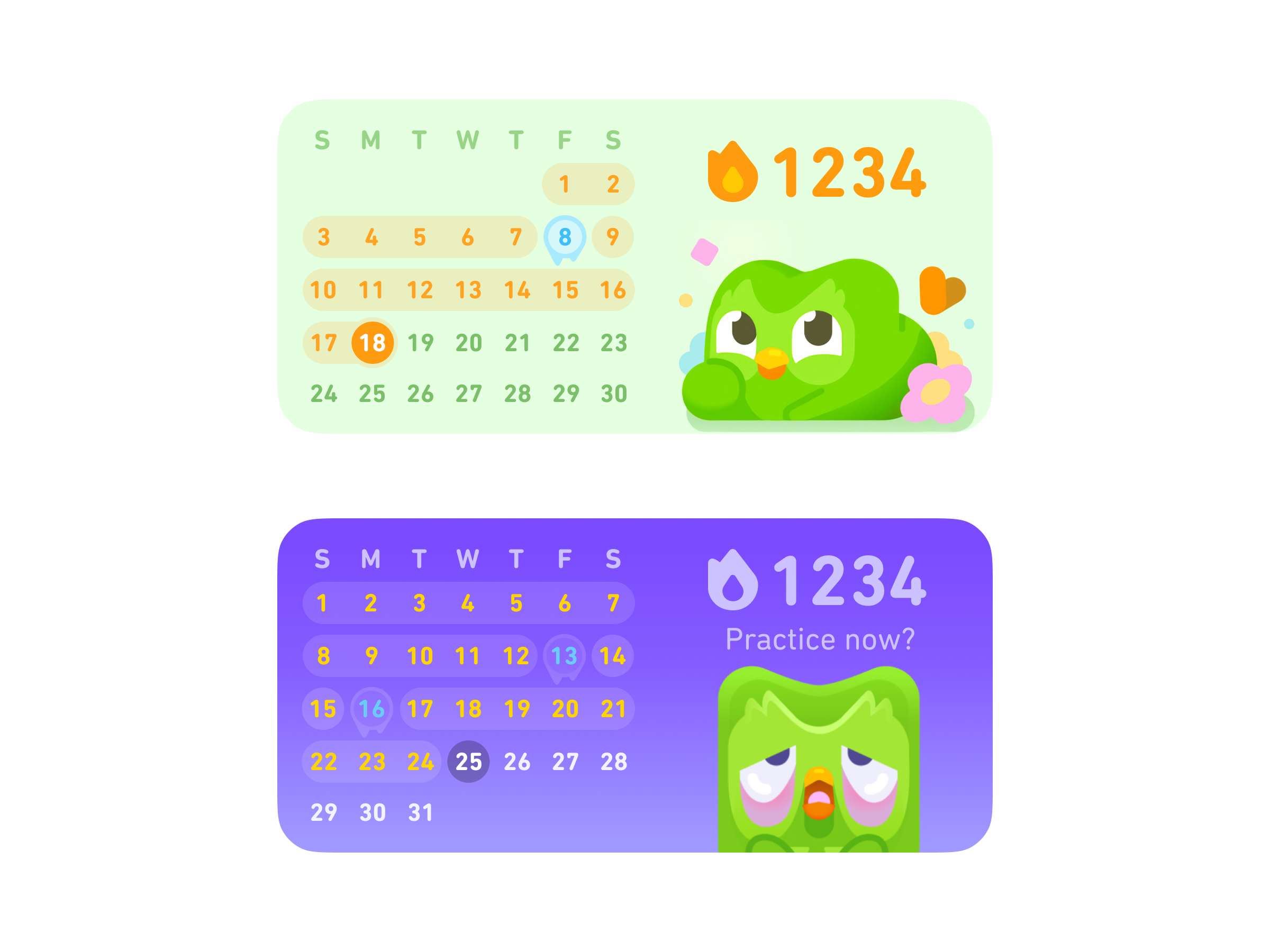 duolingo-widgets-calendar-streak-by-zachary-on-dribbble
