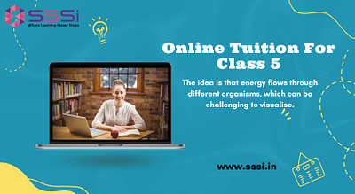 What is the food chain, and what is its importance in balancing class 5 classes online class 5 classes online tuition for class 5