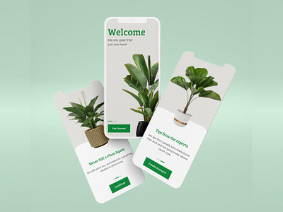 Plant Onboarding screen Design abstract botanical eco ecologist energy flower garden graphic design grass greenery growth hobby leaves natural plant planting replantation tree ui urban jungle