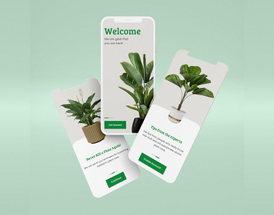 Plant Onboarding screen Design abstract botanical eco ecologist energy flower garden graphic design grass greenery growth hobby leaves natural plant planting replantation tree ui urban jungle