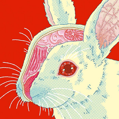 Cursed Rabbit X Ing Lee animals bold book cover conceptual publishing