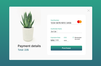 Credit Card Checkout branding graphic design ui