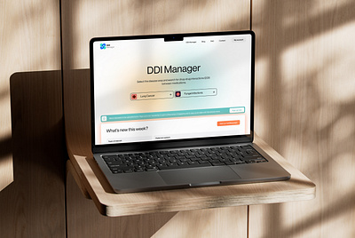 DDI Manager branding ui website