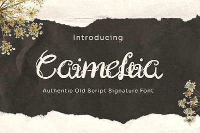 Caimellia - Script Signature Font sanserif